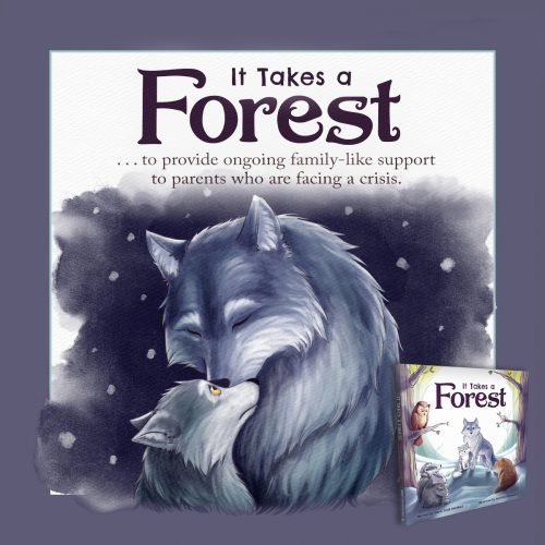 748496370-todd-qc2-copy