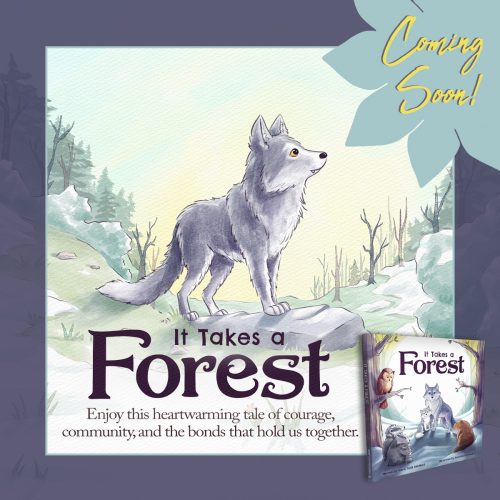 748496385-todd-qc6-copy